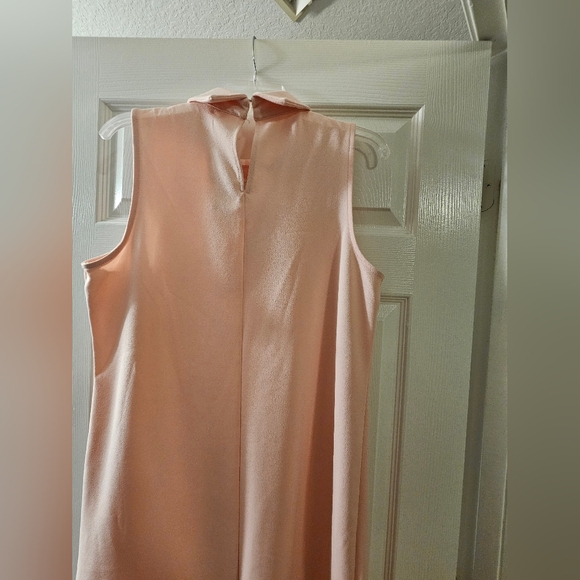 NWT Short Dress. Size 14. Light Blush Color. - Picture 5 of 9